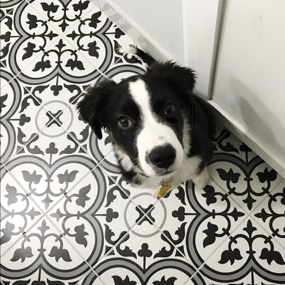 Hello! - Picture 1 of 1